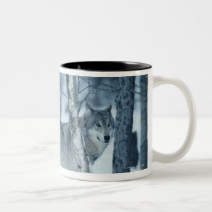 Wolf (Canis Lupus) während des Winters Zweifarbige Tasse