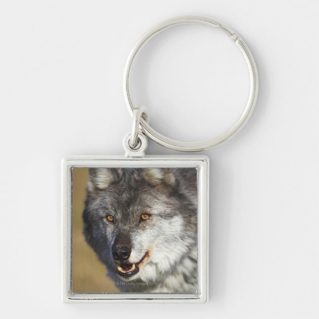 Wolf (CanisLupus) Schlüsselanhänger (Vorne)