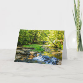 Wolf Creek Card Karte