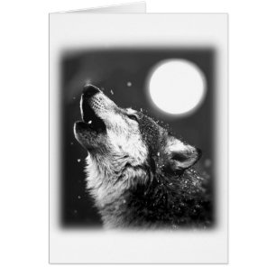 Wolf, der am Mond heult