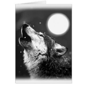 Wolf, der am Mond heult