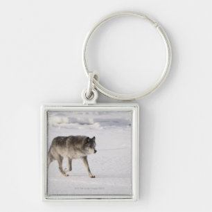 Wolf, der in den Schnee läuft Schlüsselanhänger