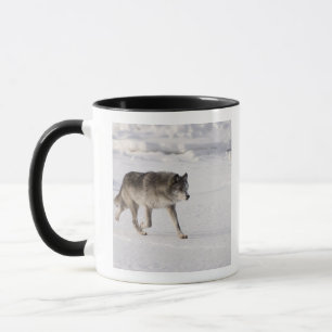 Wolf, der in den Schnee läuft Tasse