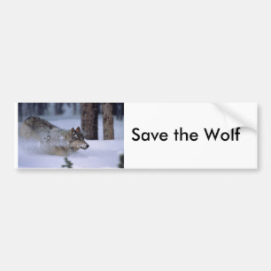 Wolf, der in Schnee läuft Autoaufkleber