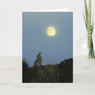 Wolf, der Vollmond heult Karte