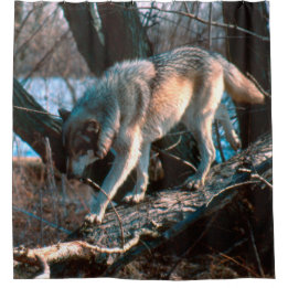 Wolf Duschvorhang