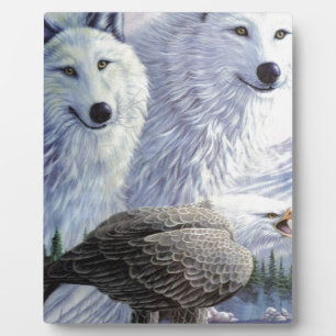 Wolf Eagle Animals Naturpark Büro für Naturschutz Fotoplatte