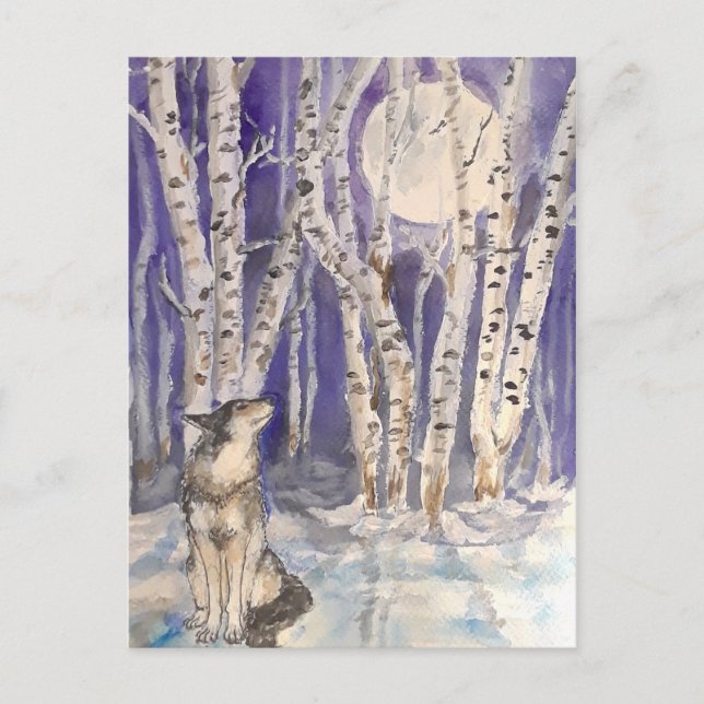 Wolf en hiver carte postale (Devant)