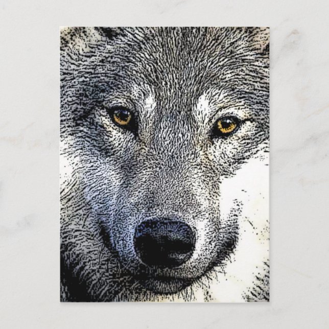 Wolf Eyes Artwork Postkarte (Vorderseite)