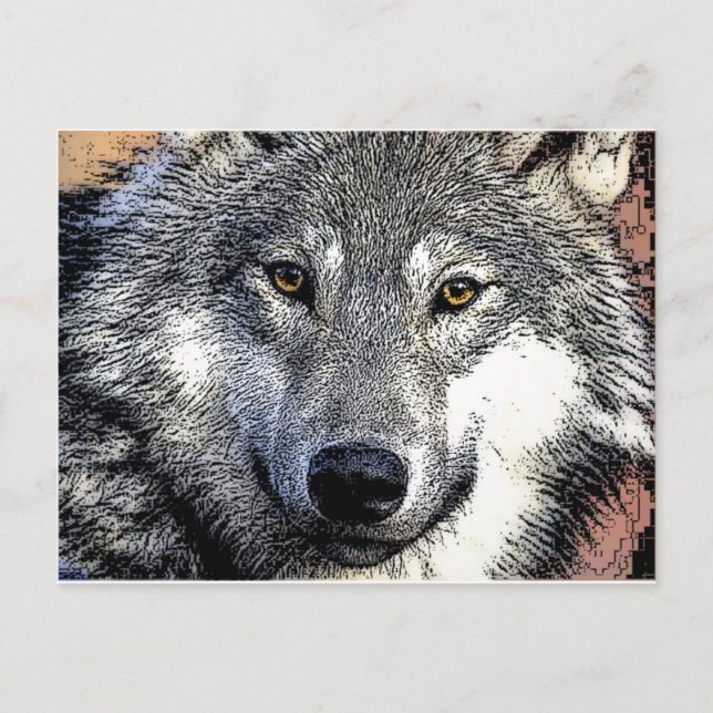 Wolf Eyes Artwork Postkarte (Vorderseite)