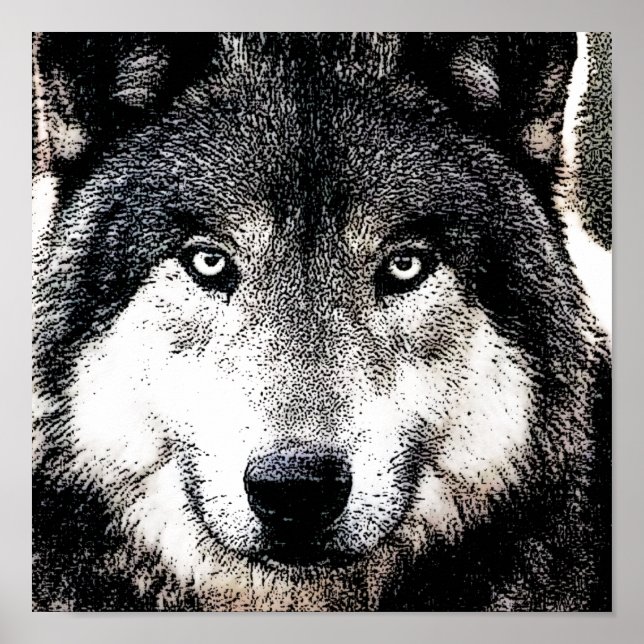 Wolf Eyes - Black & White Wild Animal Artwork Poster (Vorne)