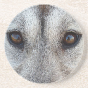 Wolf Eyes Dessous de verre Wolf Dog Art Dessous de
