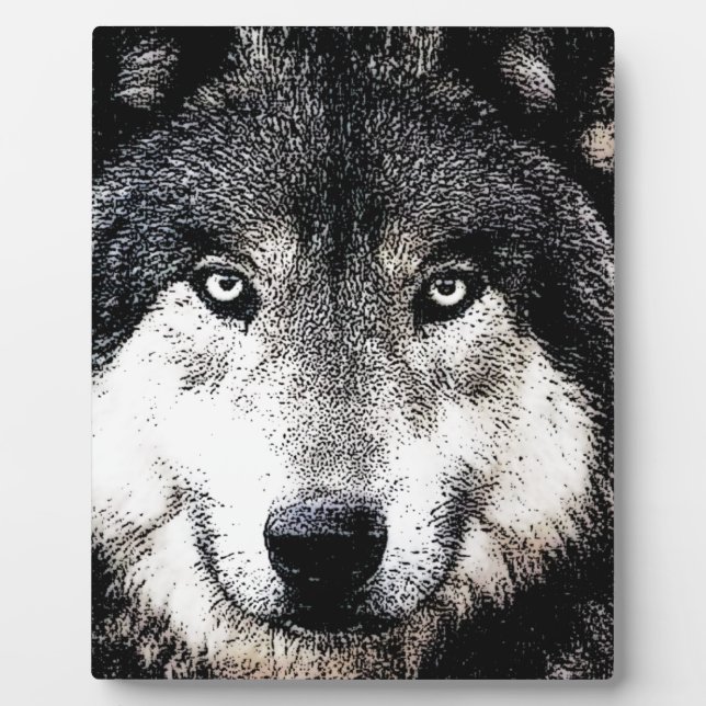 Wolf Eyes Fotoplatte (Vorderseite)