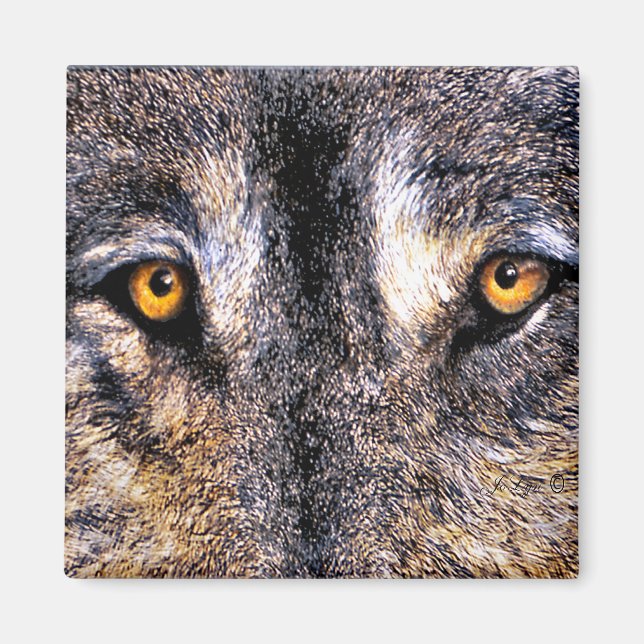 Wolf Eyes Magnet (Vorne)