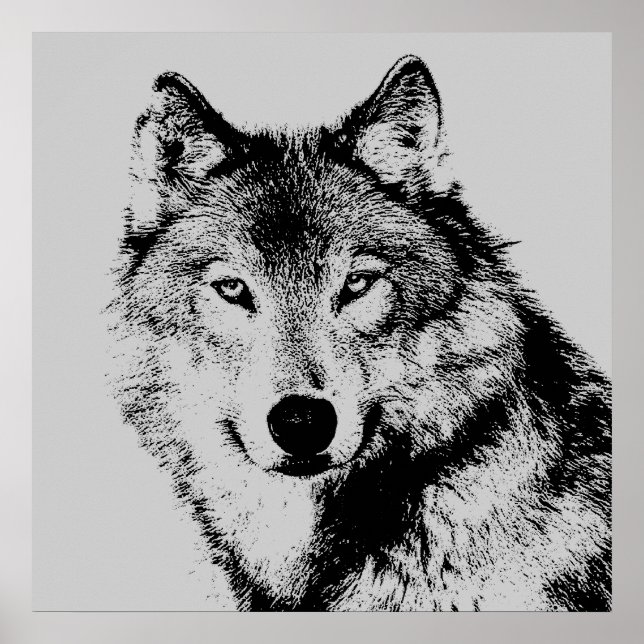 Wolf Eyes Poster (Vorne)
