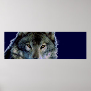 Wolf Eyes Poster