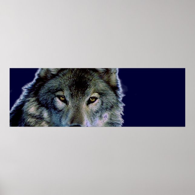 Wolf Eyes Poster (Vorne)