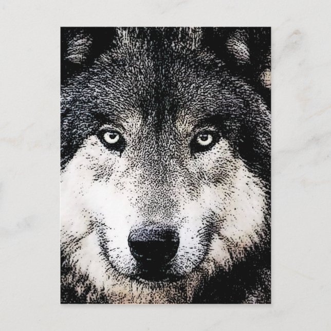 Wolf Eyes Postkarte (Vorderseite)