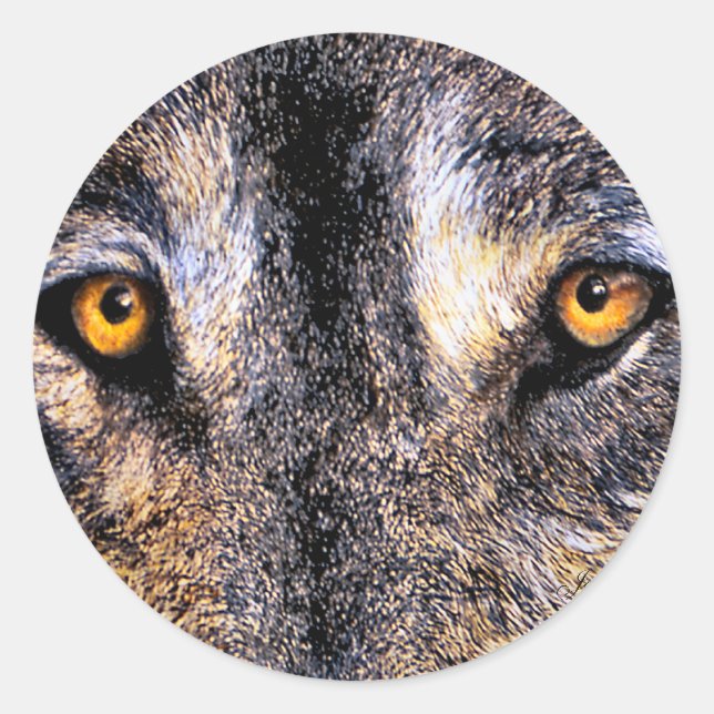 Wolf Eyes Stickers (Vorderseite)