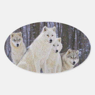 Wolf Family Ovaler Aufkleber