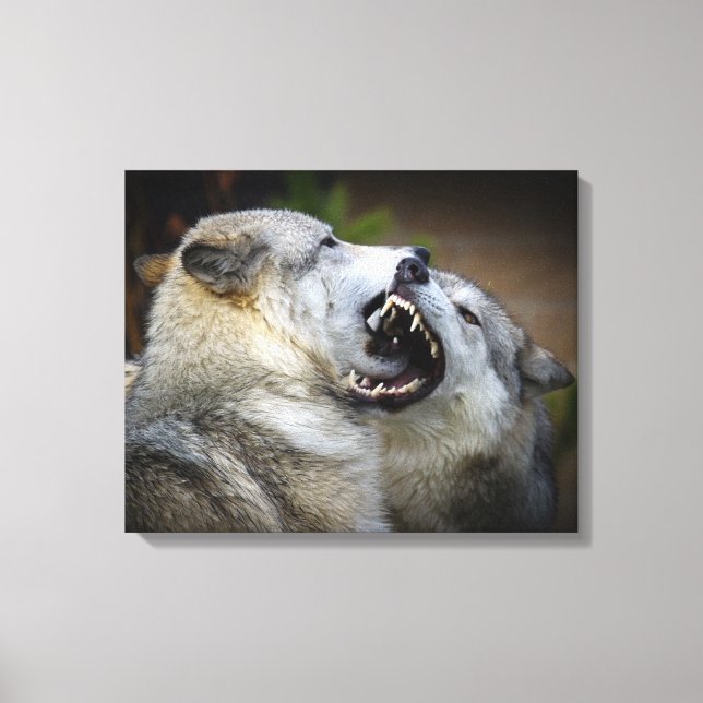 Wolf Fight Leinwanddruck (Vorderseite)