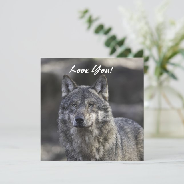 Wolf Flat Grußkarte Karte (Stehend Vorderseite)
