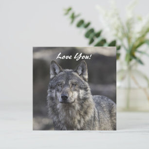 Wolf Flat Grußkarte Karte
