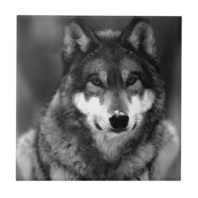 Wolf Fliese (Vorderseite)