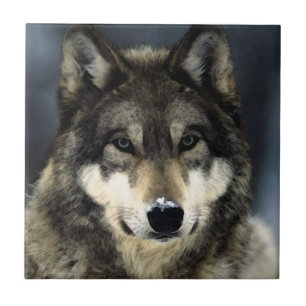 Wolf Fliese