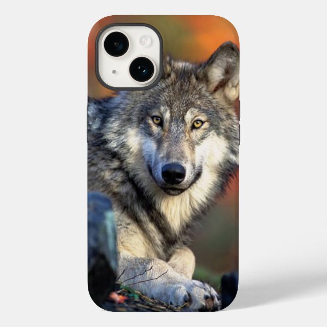 Wolf-Fotografie Case-Mate iPhone 14 Hülle (Rückseite)