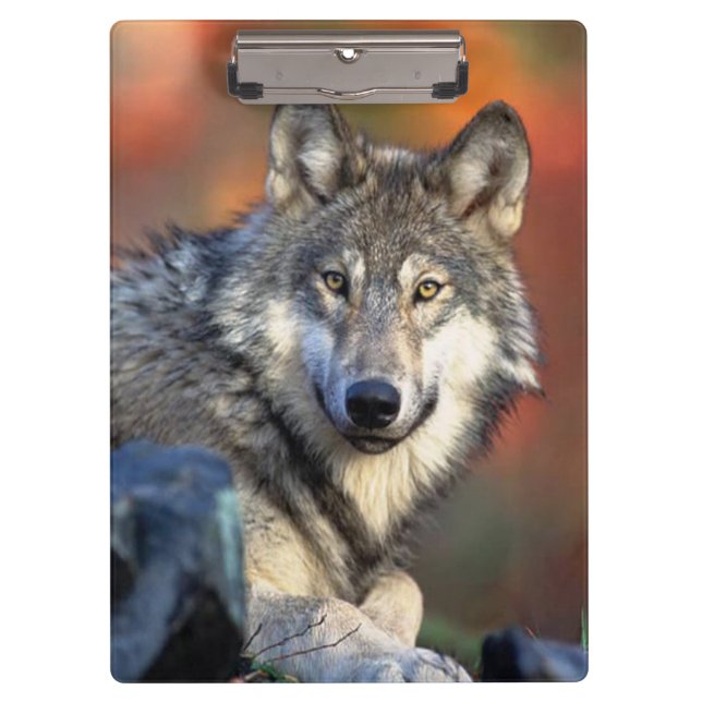 Wolf-Fotografie Klemmbrett (Vorderseite)