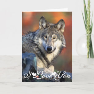 Wolf Fotografien Bild Ich liebe dich Karte