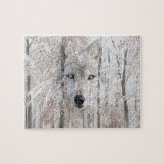 Wolf-Gesicht