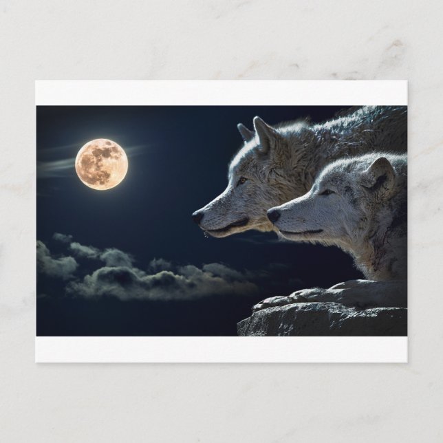 Wolf Gifts Postkarte (Vorderseite)