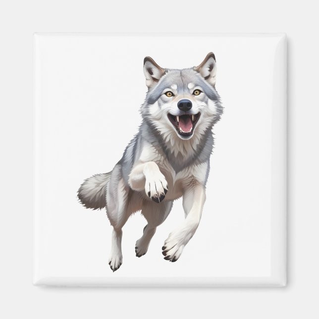 Wolf glücklich spielerischer Spaß beim Springen im Magnet (Vorne)