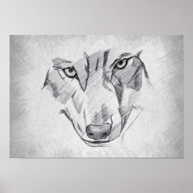 Wolf - Grafische Zeichnung Poster (Vorne)