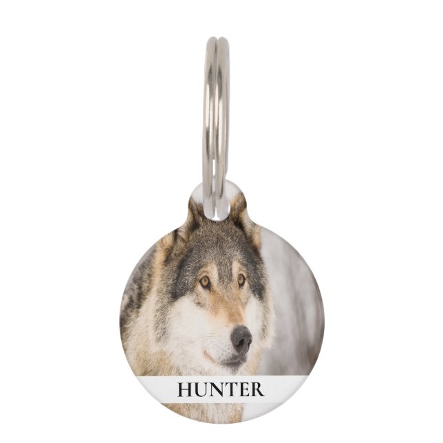 Wolf Haushund Foto Ihr Tierspussname Haustiermarke (Vorderseite)