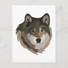Wolf Head Animal Gray Wild Wolf Postkarte
