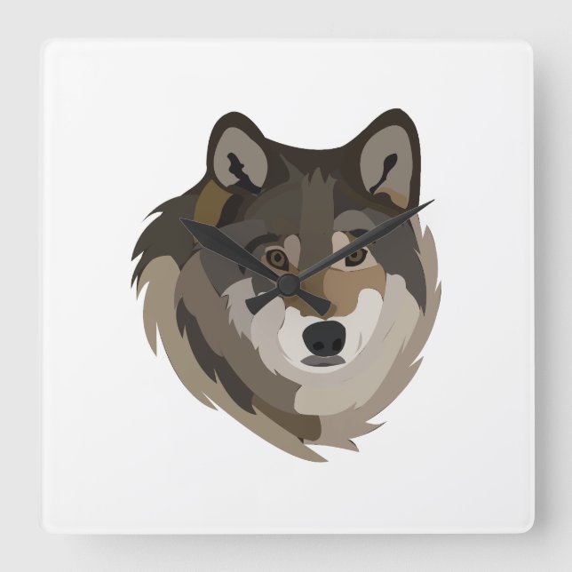 Wolf Head Animal Gray Wild Wolf Quadratische Wanduhr (Vorderseite)