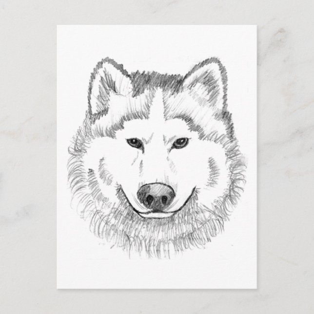 Wolf Head Sketch Postkarte (Vorderseite)