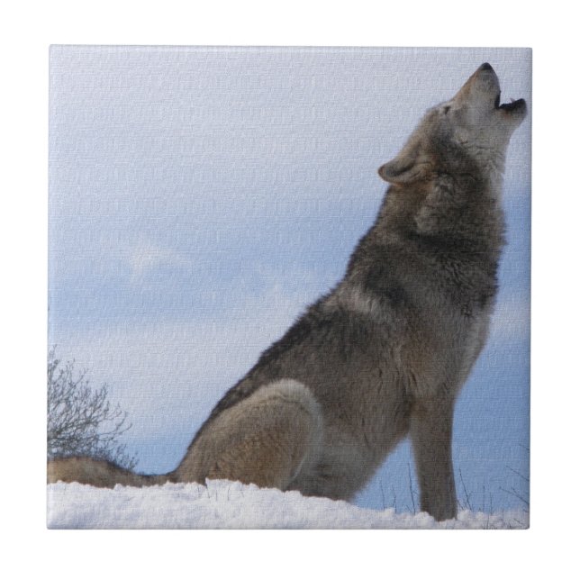 Wolf-Heulen Fliese (Vorderseite)