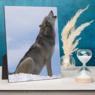 Wolf-Heulen Fotoplatte