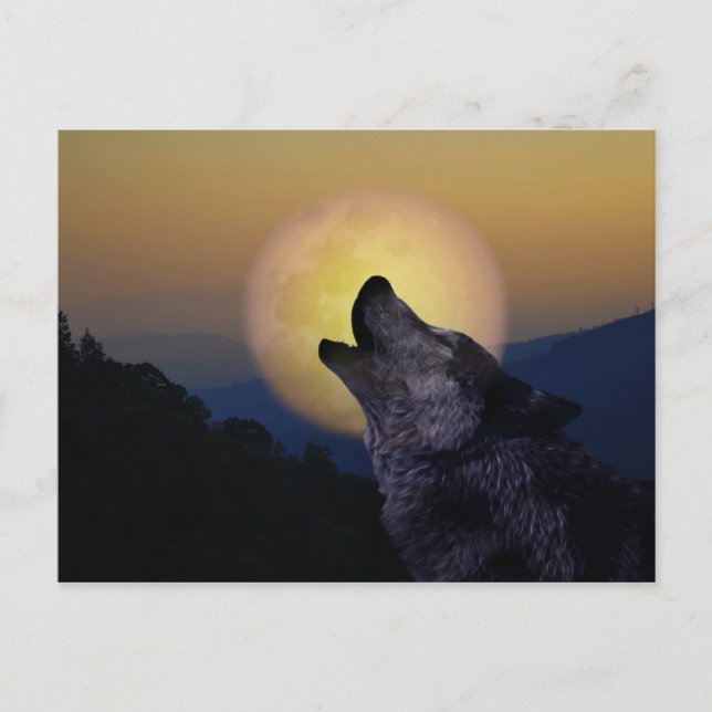 Wolf heult auf dem Mond Postkarte (Vorderseite)