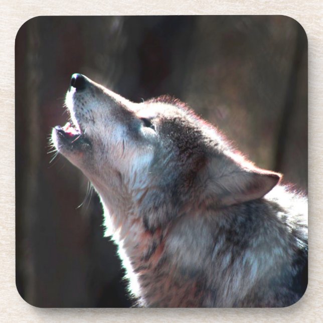 Wolf-Heuschrei Getränkeuntersetzer (Vorderseite)