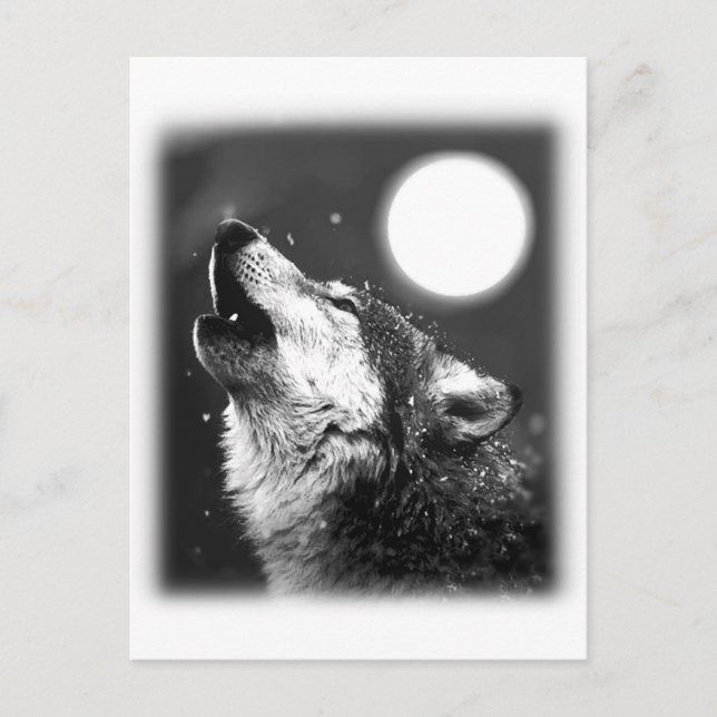 Wolf Howling auf dem Mond Postkarte (Vorderseite)