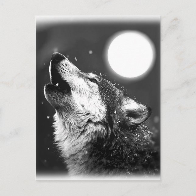 Wolf Howling auf dem Mond Postkarte (Vorderseite)