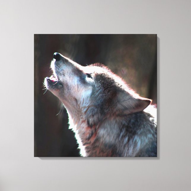 Wolf Howling Lone Wolf Leinwanddruck (Vorderseite)