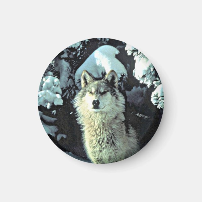 Wolf im Schnee Magnet (Vorne)