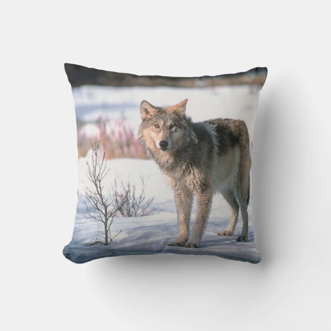 Wolf im Schnee-Wurfs-Kissen Kissen (Vorderseite)