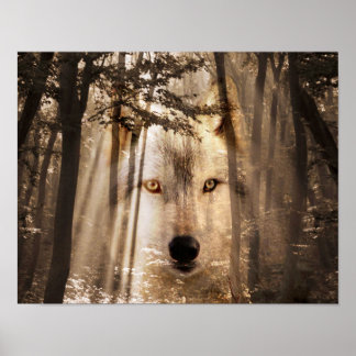 Wolf im Wald gegenüber Poster